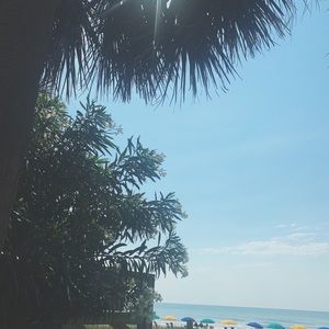 Meet your Posher, Lyndsie